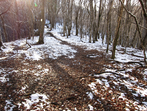 20191129hike (521)